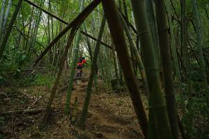 BIB: 
                            <button type="button" onclick="openModal(22242023)" class="btn btn-primary btn-sm float-right btn-popup" data-toggle="modal" data-target=".modal-high-quality">
                        <i class="fas fa-shopping-cart"></i> Add to Cart
                    </button>
                                            <button type="button" onclick="isThisMe(22242023, true)" class="btn btn-success btn-sm float-right btn-popup btn-isme hidden" data-toggle="tooltip" data-placement="bottom" title="นี่คือรูปของคุณใช่ไหม คลิกที่นี่เพื่อเอาเข้าอัลบั้ม">
                        <i class="fas fa-plus"></i> Add to album
                    </button>
                    <button type="button" onclick="isThisMe(22242023, false)" class="btn btn-warning btn-sm float-right btn-popup btn-isnotme hidden">
                        <i class="fas fa-ban"></i> Remove from album
                    </button>